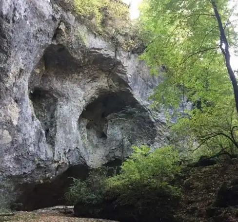 Конные экскурсии., фотография 3