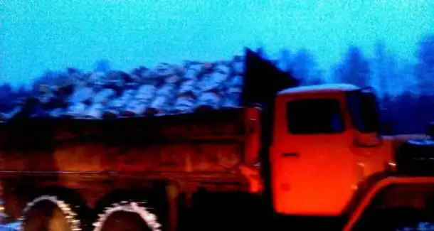 Дpoвa бepeзoвыe кoлoтыe или чуpки c дocтaвкoй, фотография 2