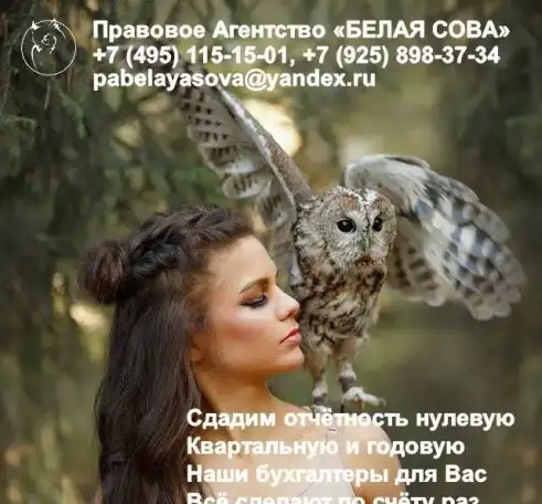 Нулевая отчётность, фотография 1