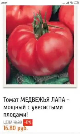 Семена, фотография 8