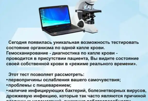 Диагностика систем организма - гемосканирование, фотография 1