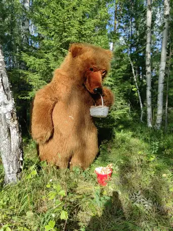 Мишка поздравление!, фотография 6