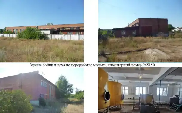 Продажа многофункциональных имущественных комплексов (подсобное хозяйство) в Самарской области, фотография 2