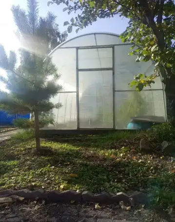 Теплицы, фотография 1