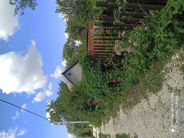Продам сад, фотография 1