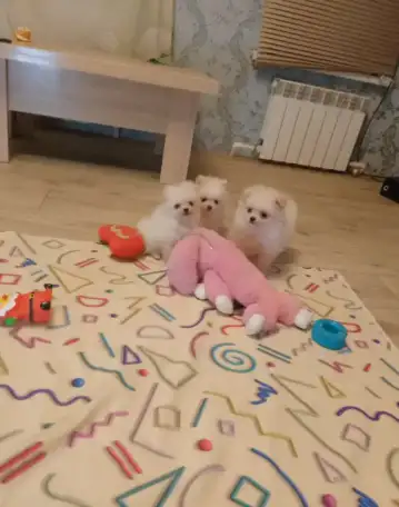 Подарочки, фотография 1