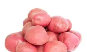 Картофель Оптом, фотография 1
