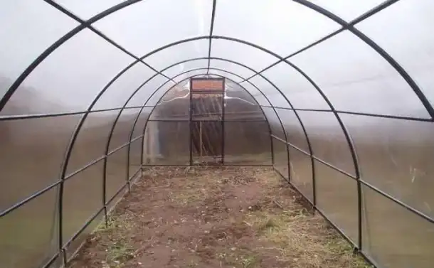 Теплица 