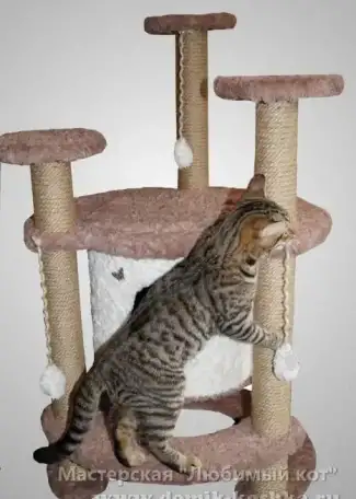 Продам  домик для кошки, фотография 1