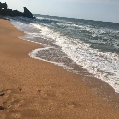 Ежедневные поездки на море, трансфер по Краснодарскому краю, фотография 2