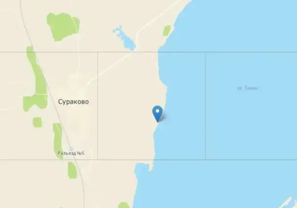 Земельный участок под коттеджный поселок в Челябинской обл., фотография 2