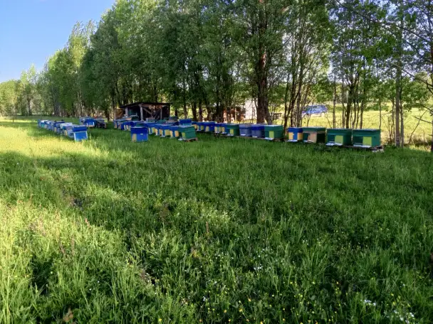 Ищу работу, фотография 1