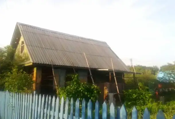 снт дружба, фотография 2