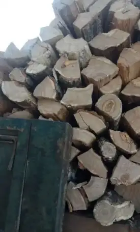 Дрова дубовые колотые, фотография 2