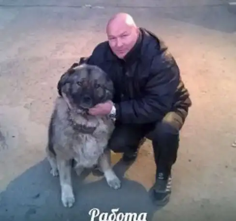 Охранник вахтовым методом 3500рублейсутки, фотография 5