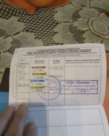 Продам собаку, фотография 3