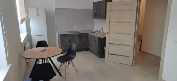 Сдается 1-комн. квартира 47.2 кв.м., фотография 1