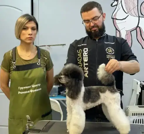 Стрижка собак, фотография 2