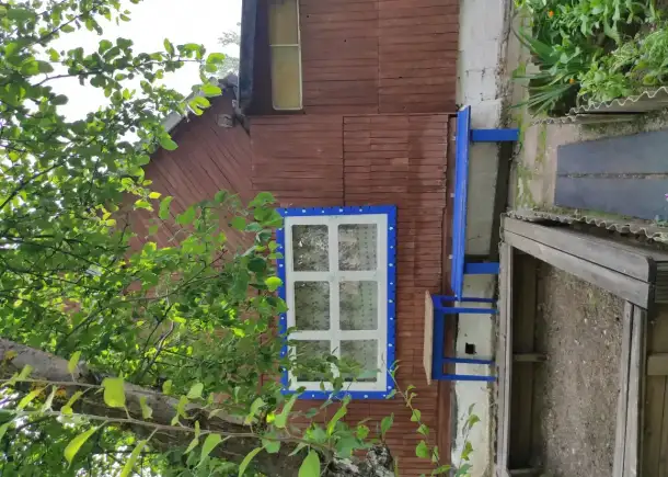 СНТ 