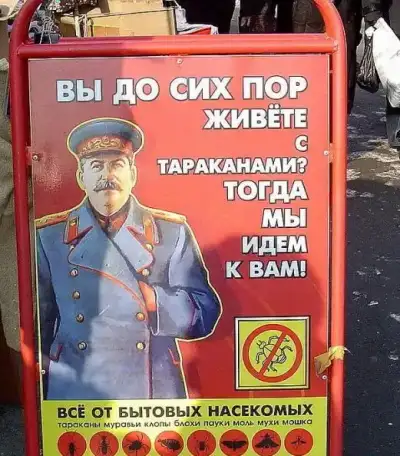 Уничтожение тараканов, клопов. Дезинсекция., фотография 1
