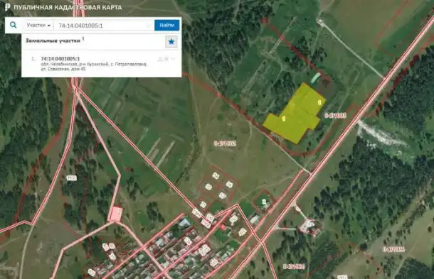 Продажа земельного участка от собственника, область, Кусинский район, с. Петропавловка, ул. Совхозная, д. 45, фотография 1