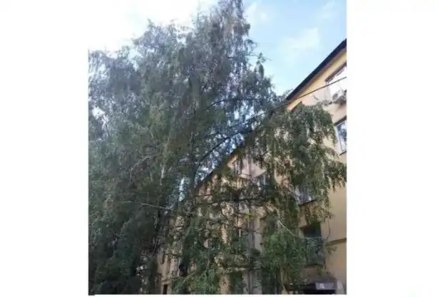 Комната 16 м² в 4-к, 3/4 эт., фотография 8