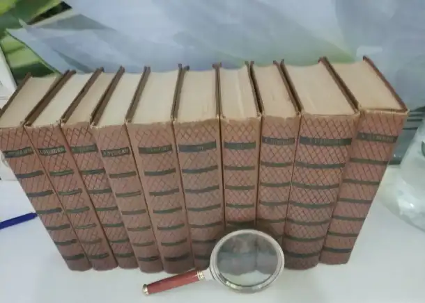 Пушкин 10 десять томов  иллюстрации  Все книги по 75 рублей за том за  единицу, фотография 2