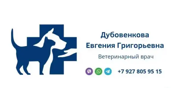 Ветеринарный врач, фотография 1