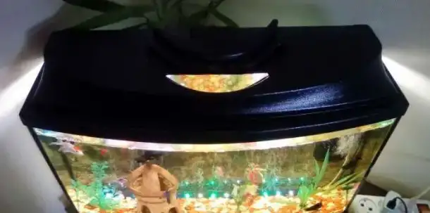 Продам аквариум, фотография 2