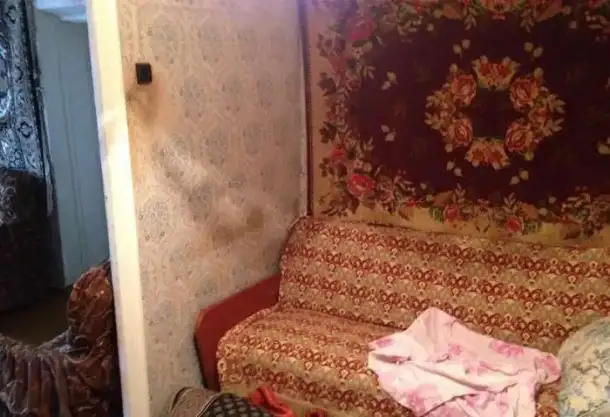 Продам дом в Стригино 48,00 м2, Мелиоративная д65 кв1, фотография 4