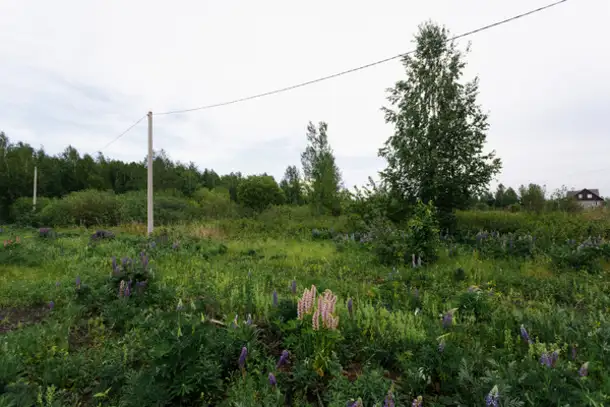 Продам земельный земельный участок, Коллективный сад n37 ост оао умпо тер, фотография 8
