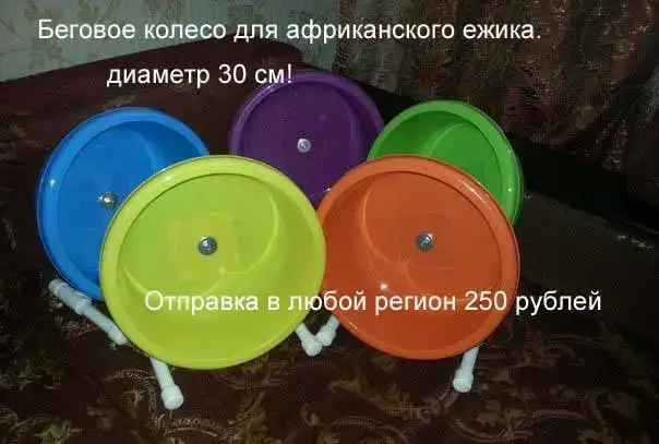 Беговое колесо для ежика, фотография 2