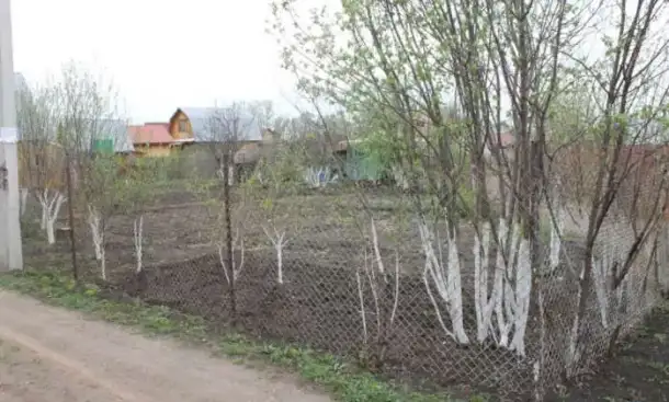 продается участок, фотография 3