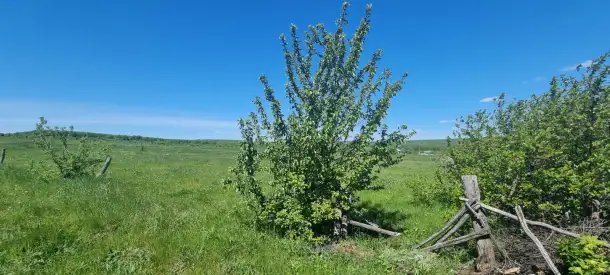 Продам участок 20 соток, с.Русская Селитьба. ул.Лесная 24, фотография 4