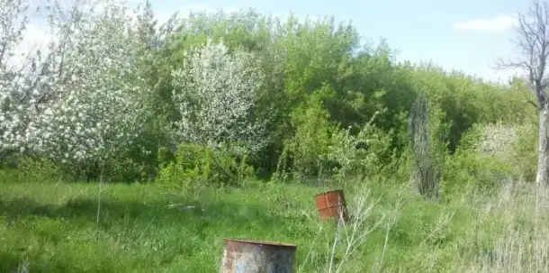 Участок под ИЖС 23.1 сотка, Самарская область, Красноармейский район, село Колывань, ул. Пушкина, фотография 1