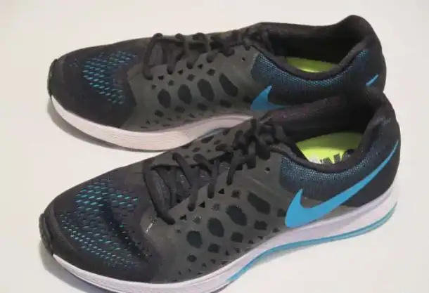 Отличные беговые кроссовки Nike Pegasus, фотография 2