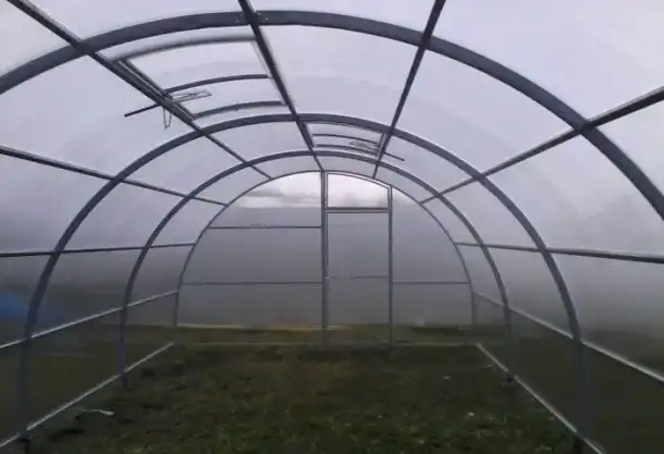 Теплицы фермерские шир. 4, 5, 5.25м, 7.64м., фотография 6