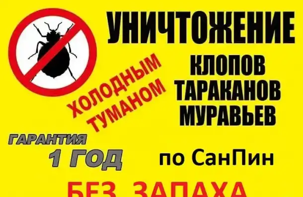 Уничтожение Муравьев, фотография 1