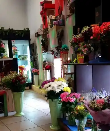 продам готовый бизнес, фотография 3