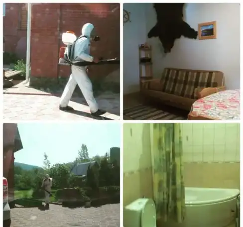 Поморим комаров,клопов,мокриц, фотография 1