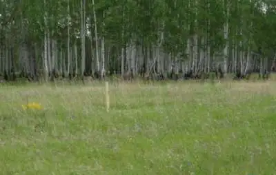 продам участок под застройку поселка, Б.Харлуши 700м на север от церкви, фотография 2