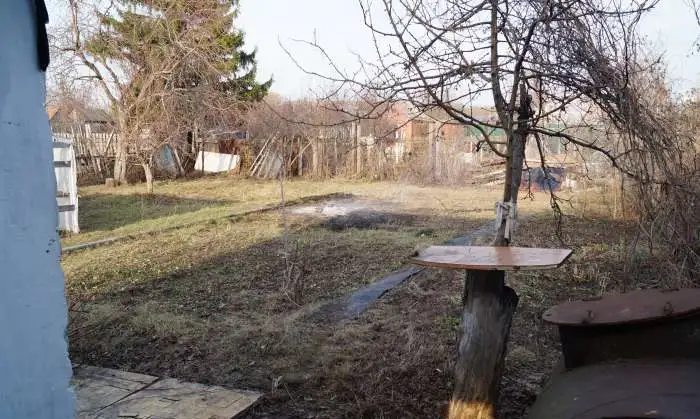 садовый участок, фотография 2
