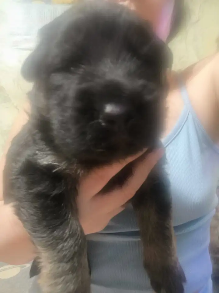 Продажа, фотография 2