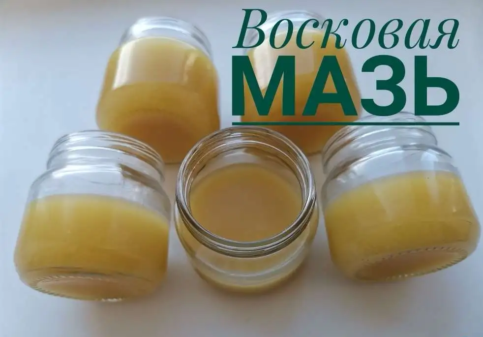 Восковая Монастырская Мазь, фотография 1