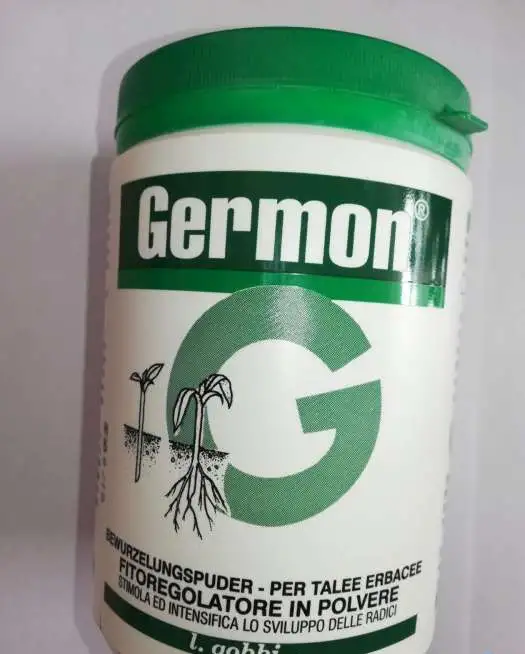 Корневой стимулятор Гермон (Germon) 0,5%, 10 г, фотография 1