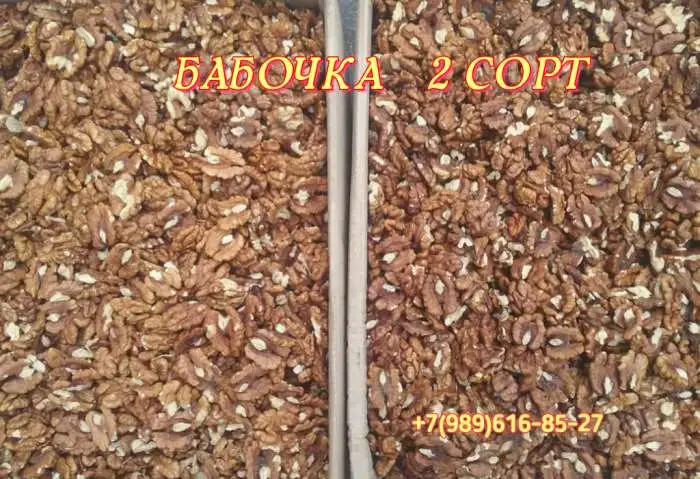 Орех грецкий чищенный, фотография 4