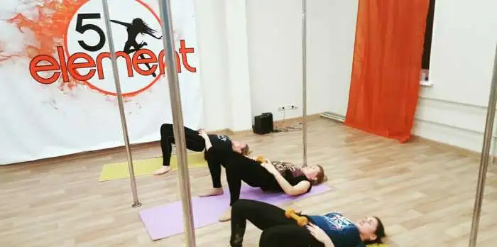 Коллективные и индивидуальные тренировки pole dance, стрейчинг, фотография 3