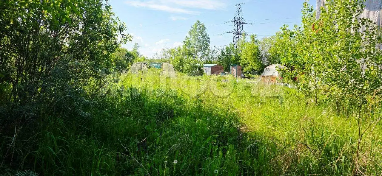 Продается земельный участок 11.56 сот., фотография 3