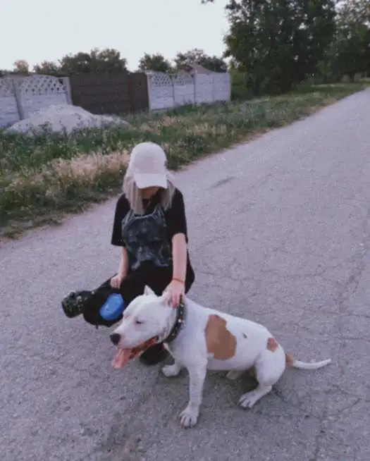 Вязка, фотография 2