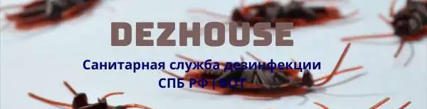 Санитарная служба дезинфекции СПБ РФ, фотография 1